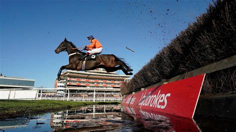 ladbrokes racecards